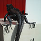 Iguane