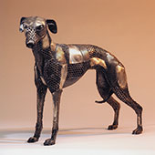 Whippet